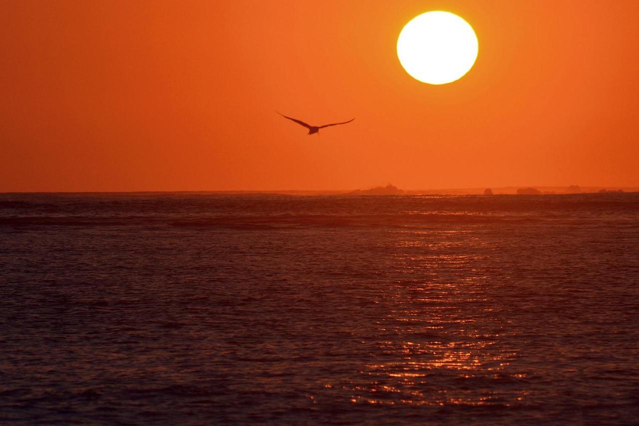 Sunset Chill Out Bed & Breakfast Sámara 外观 照片